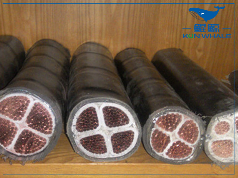 太平洋电缆告诉您电力电缆和控制电缆有什么区别