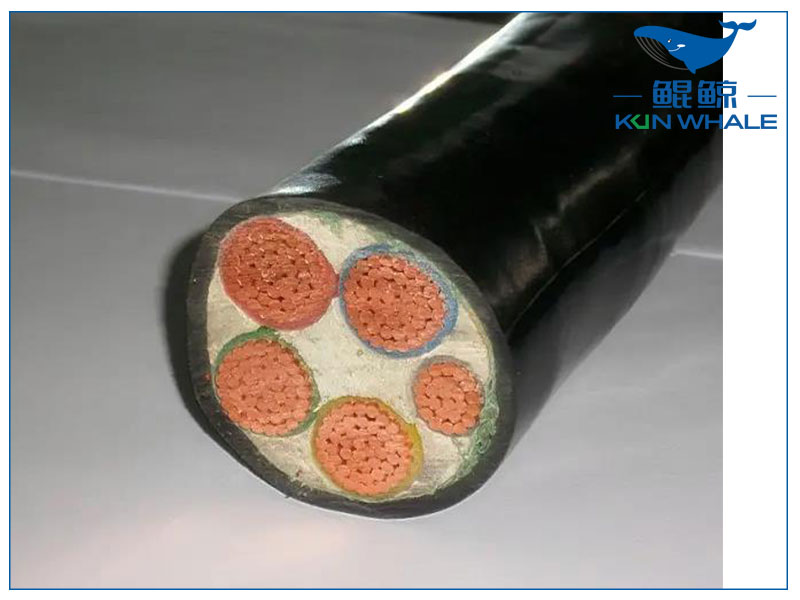 中缆.jpg 中缆.jpg