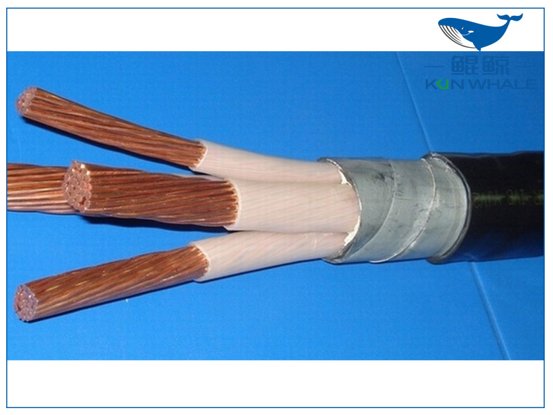 太平洋线缆厂浅谈交联聚乙烯电力电缆受潮的处理方法