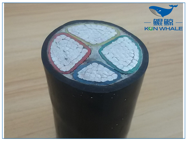 太平洋线缆厂浅谈什么样的产品才是符合国家标准的呢 太平洋线缆厂浅谈什么样的产品才是符合国家标准的呢