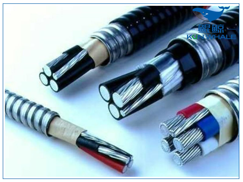 中缆太平洋浅谈铝合金电缆的性能 中缆太平洋浅谈铝合金电缆的性能