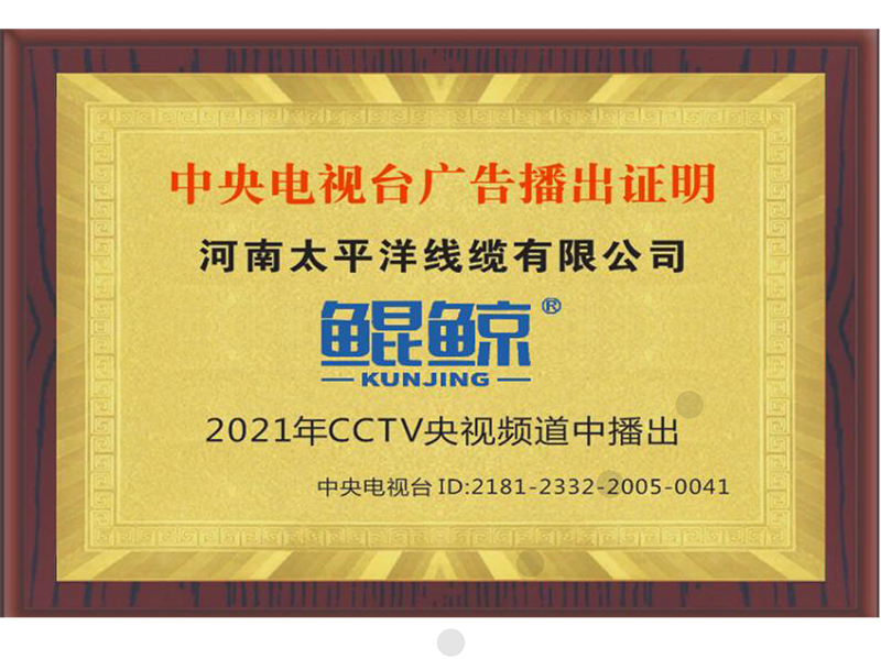 中央电视台广告播出证明