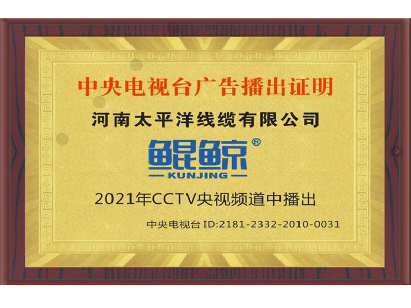 中央电视台广告播出证明